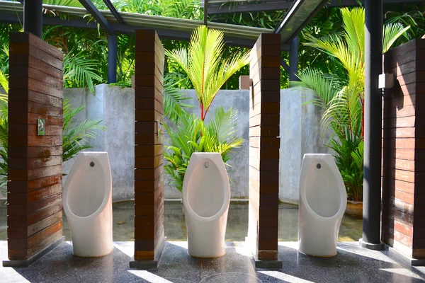 Urinario con jardín —  Fotos de Stock