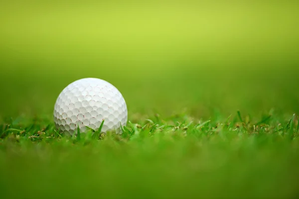 Golfboll på gräs — Stockfoto