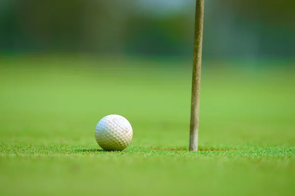 Golfball auf Grün — Stockfoto