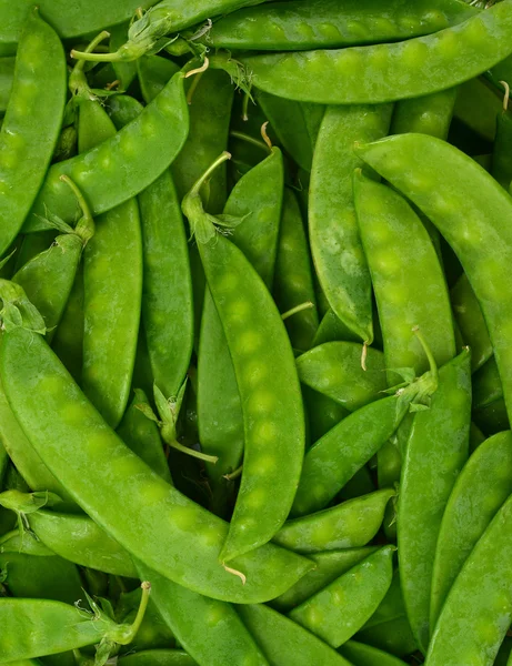 Guisantes —  Fotos de Stock