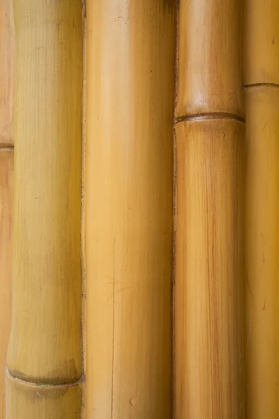 Fondo de bambú —  Fotos de Stock