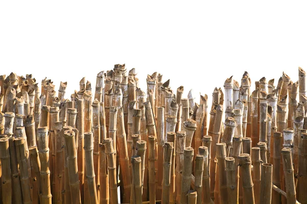 Bambuvägg — Stockfoto