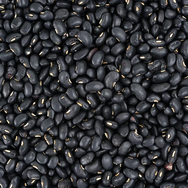 Black Bean — Stock Photo, Image