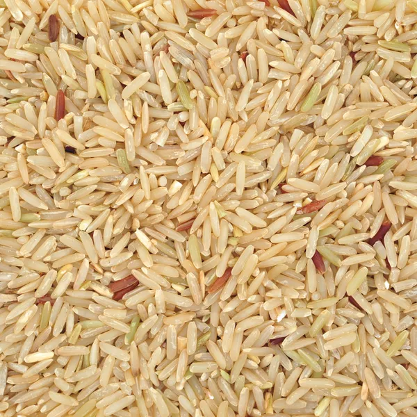 Brown rice — Stock Photo, Image