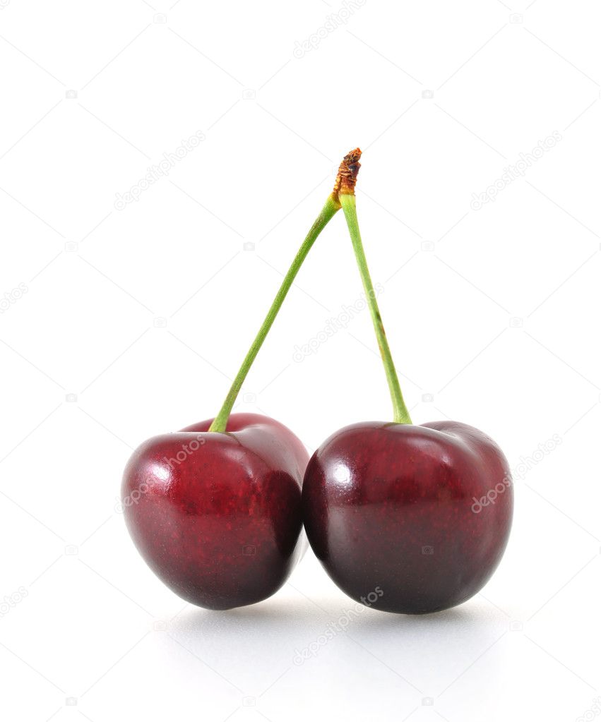 antpkr