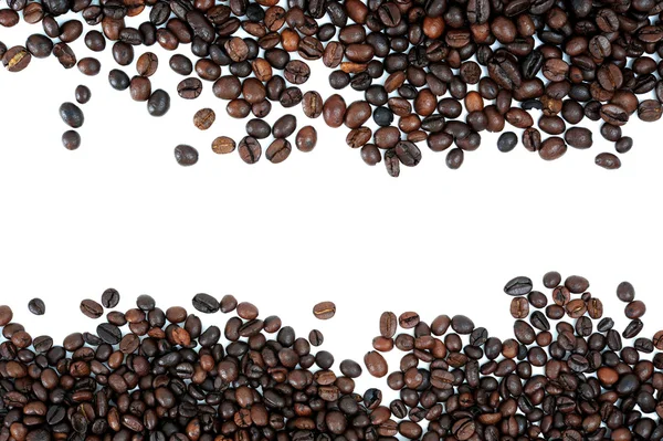 Coffee Bean — Stock Photo, Image