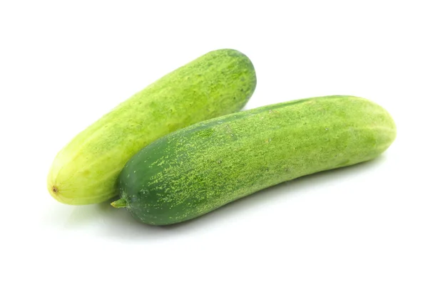 Pepino — Foto de Stock