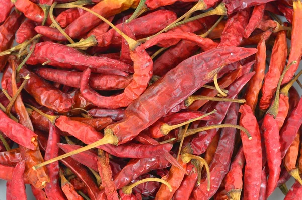 Chiles secos — Foto de Stock