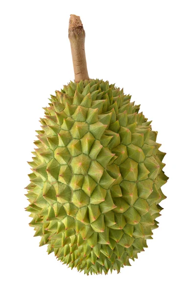 Durian — Zdjęcie stockowe