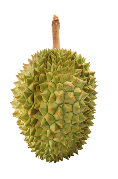 Durian — Foto Stock