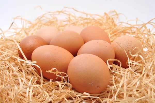 Huevos en paja — Foto de Stock