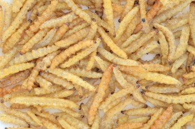 Kızarmış solucan bambu