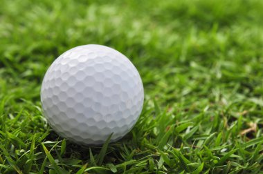 Golf topu ve çim