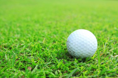 Golf top çimen