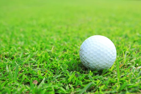 Bola de golfe no fairway — Fotografia de Stock