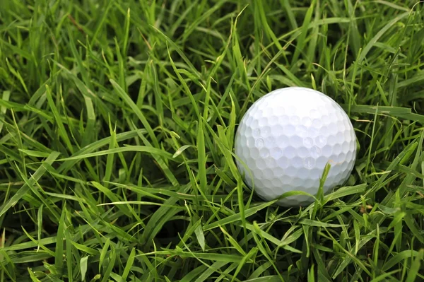 Kaba Golf topu — Stok fotoğraf