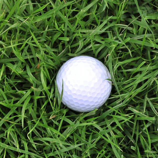 Golfboll i grov — Stockfoto