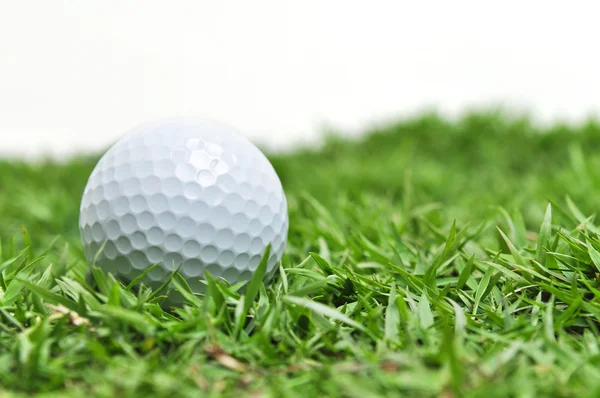 Pelota de golf en la hierba —  Fotos de Stock