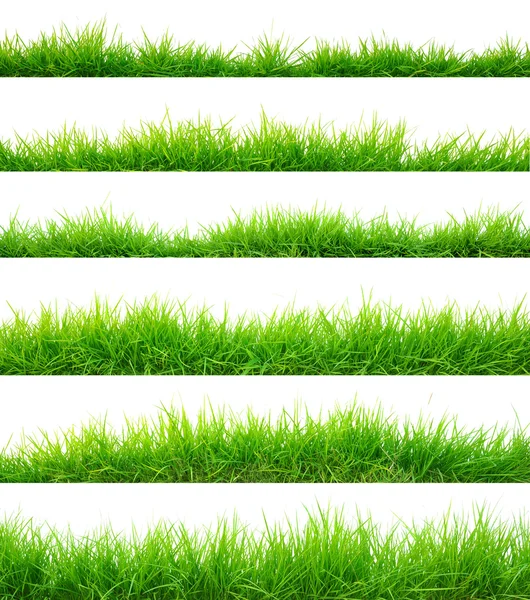 Gras — Stockfoto