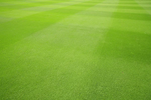 Floor grass — Stock Photo, Image