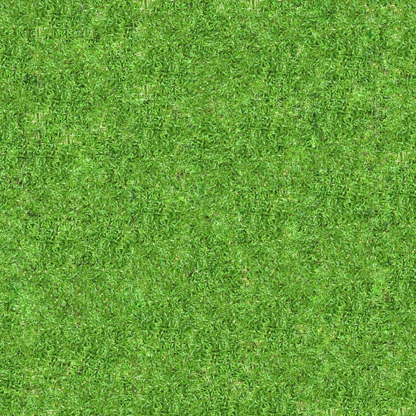 Gras — Stockfoto