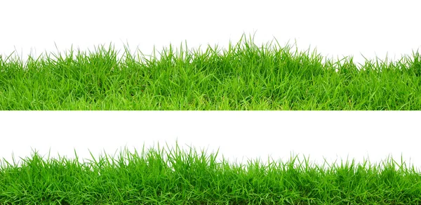 Gras — Stockfoto