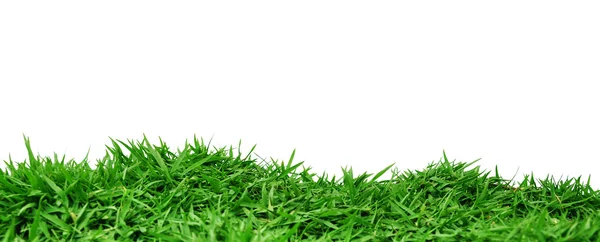 Wiosna trawa — Zdjęcie stockowe