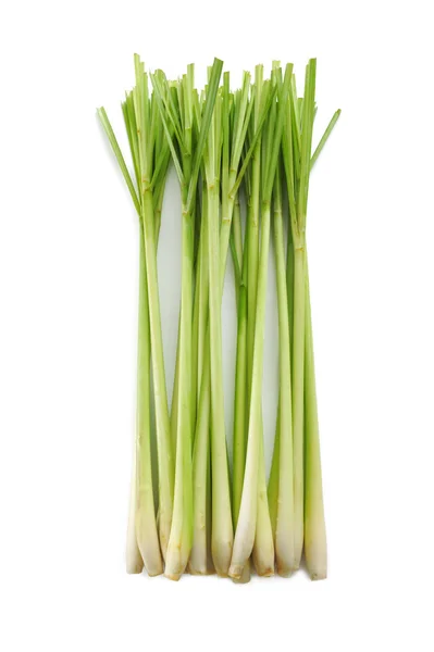 Lemon grass on white background — Stock Photo, Image