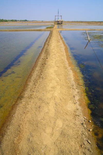 Long Path — Stock Photo, Image