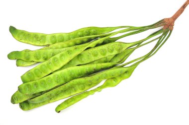 Parkia speciosa