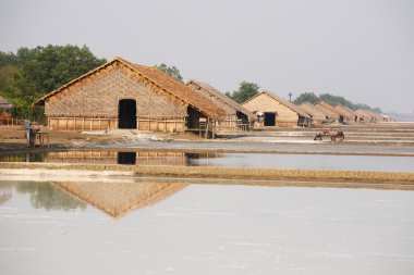 Saline Tayland