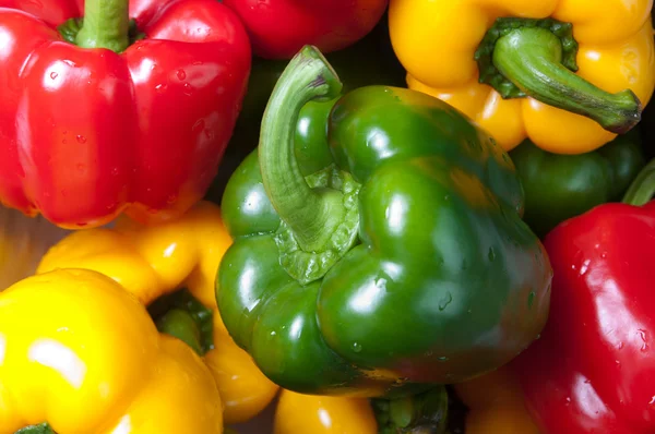 Colorful peppers — Stock Photo, Image