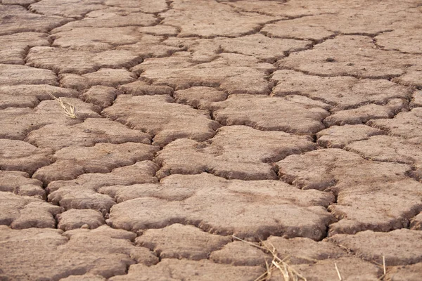 Parched earth — Stock Photo, Image