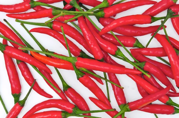 Paprika — Stockfoto