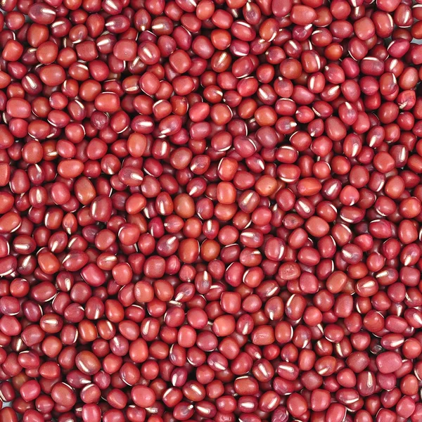 Kacang merah — Stok Foto