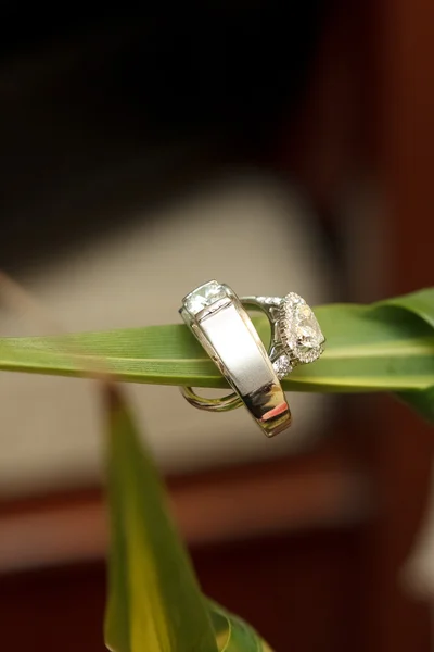 Wedding Ring — Stock Photo, Image