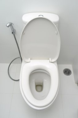 Çiş