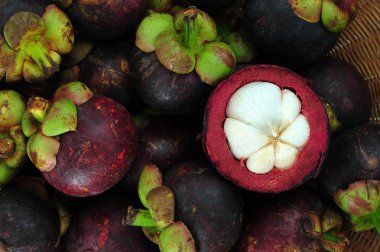 Mangosteen