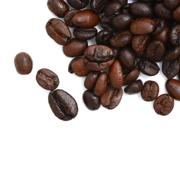 Kaffeebohne — Stockfoto