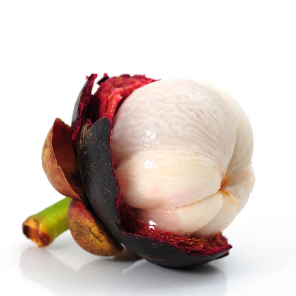 Mangosteen — Φωτογραφία Αρχείου