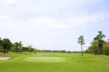 Golf Sahası
