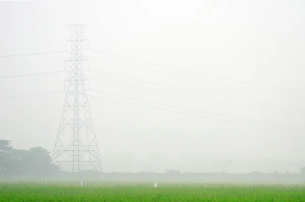 Morning mist and high voltage towers — Stock Photo, Image