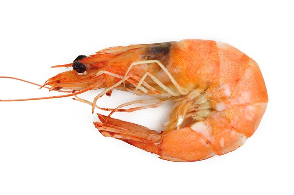 Prawns, shrimps — Stock Photo, Image