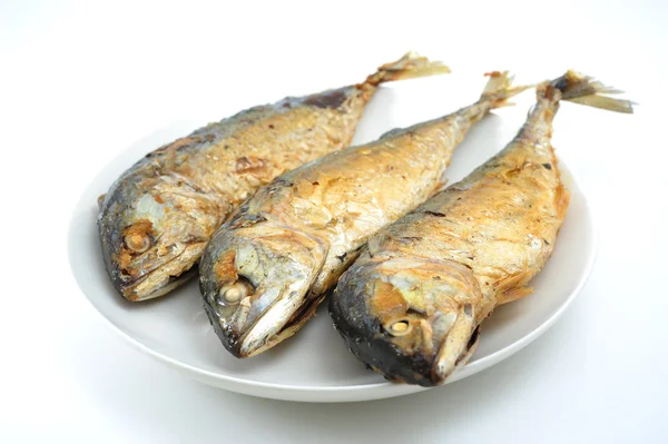 Smažené makrely — Stock fotografie