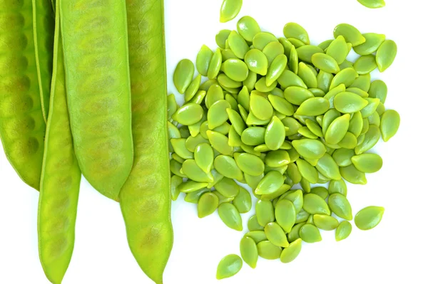 Acacia seeds — Stock Photo, Image