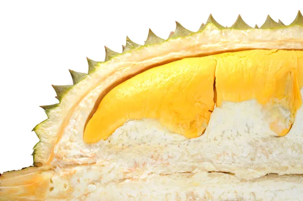 Durian — Stock fotografie