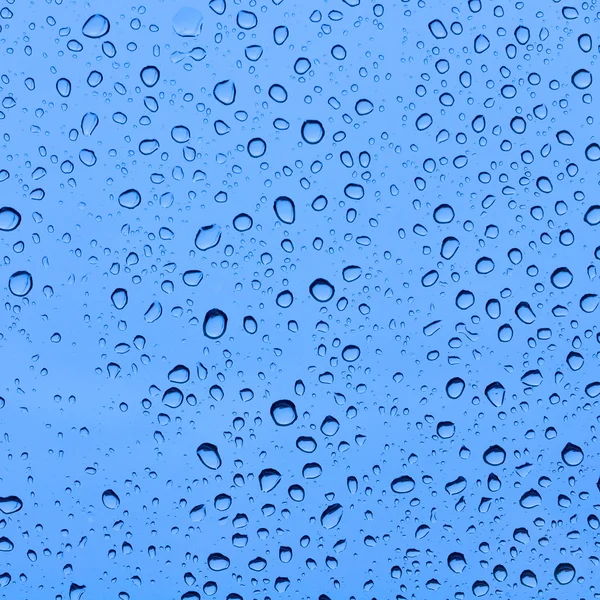 Water drops — Stock Photo, Image