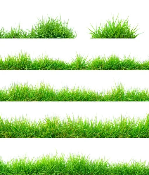 Gras — Stockfoto