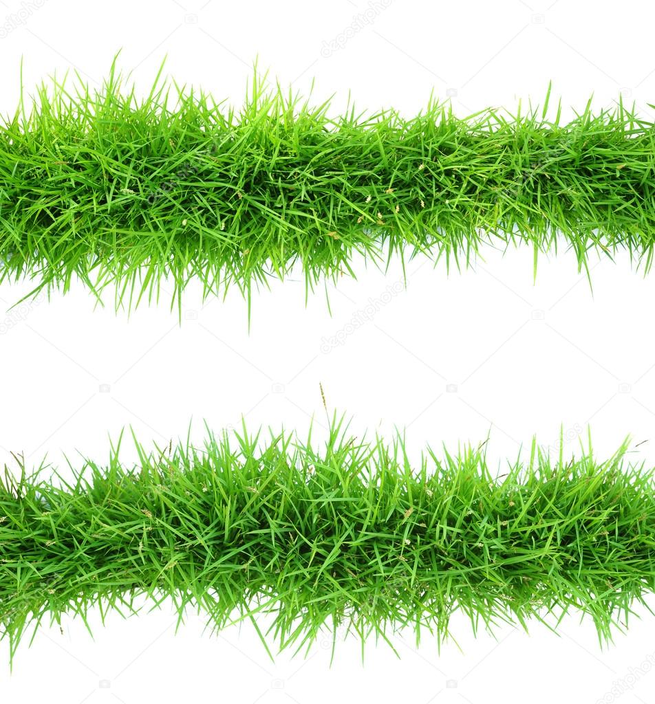 grass