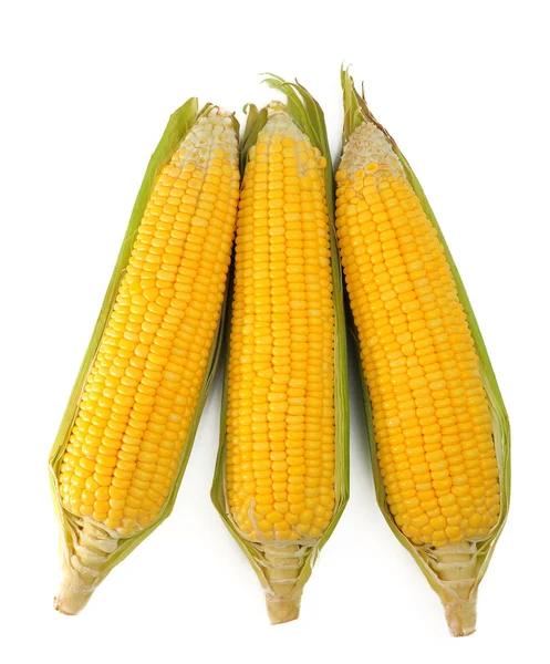 Corn — Stock Photo, Image